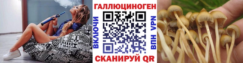 Псилоцибиновые грибы мицелий Славянск-на-Кубани