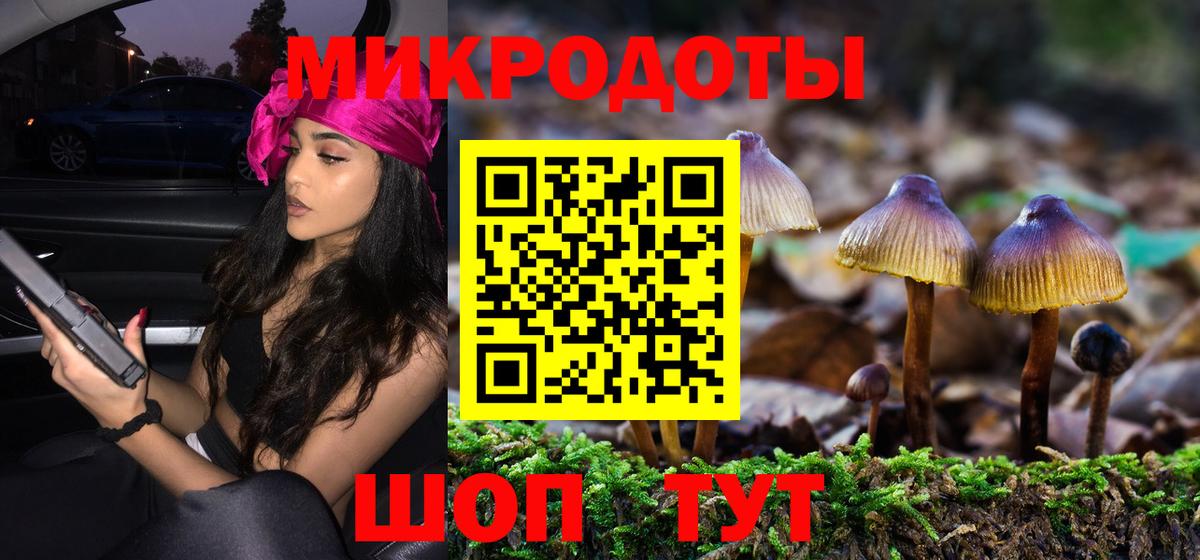 Галлюциногенные грибы Cubensis Славянск-на-Кубани